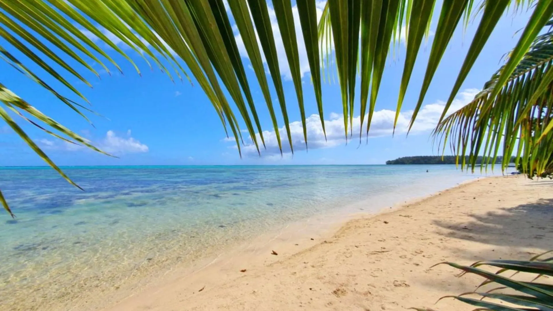 Apartman Moorea - Studio Natura Hauru